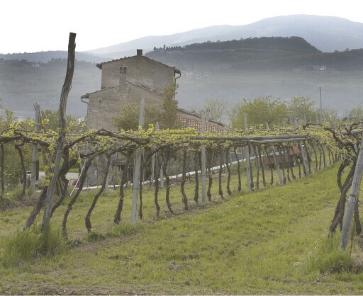 Veneto